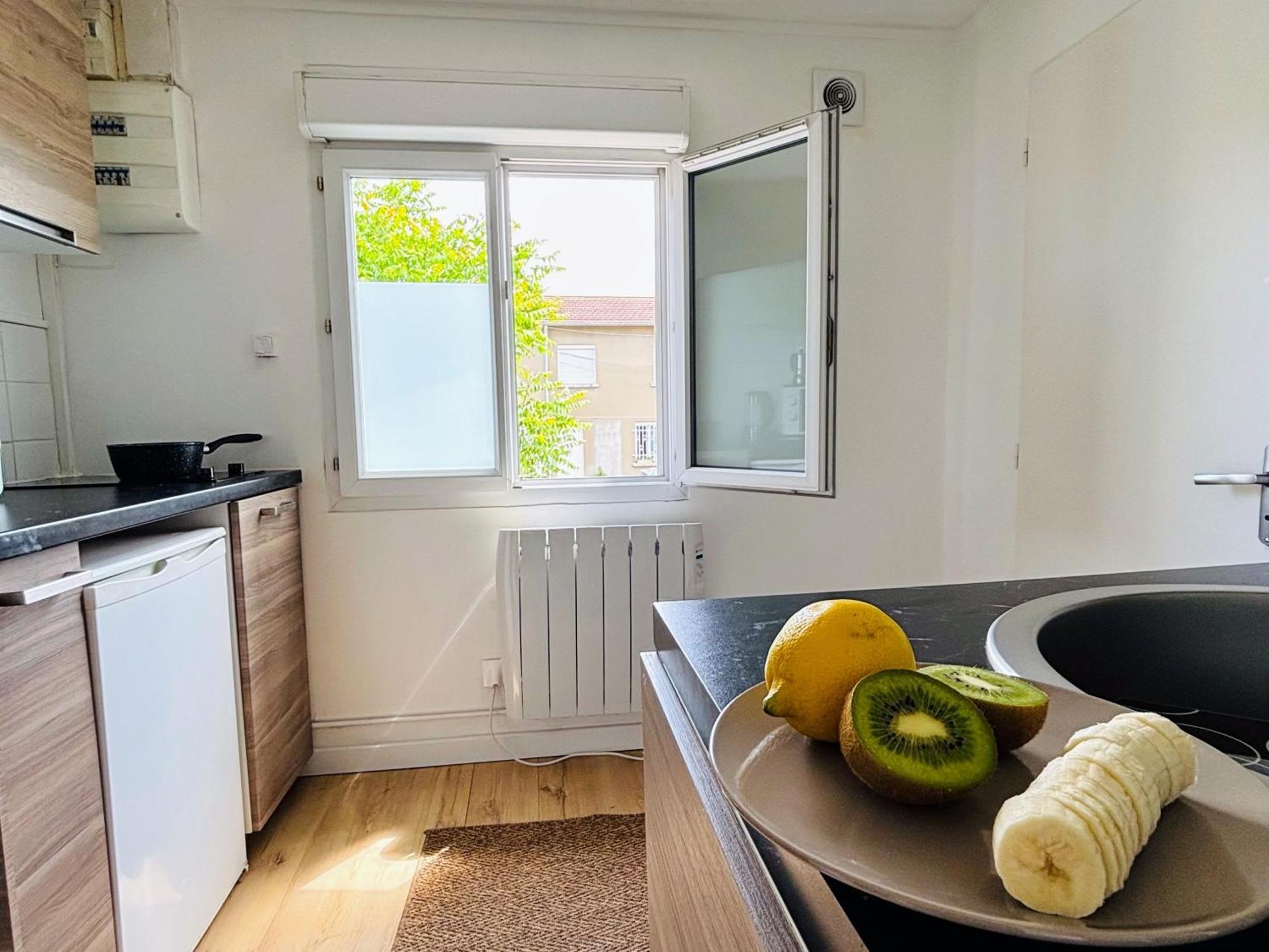 Appartement Avec Terrasse - Goupama Stadium, Eurexpo, Ldlc Arena, La Soie Vaulx-en-Velin Zewnętrze zdjęcie